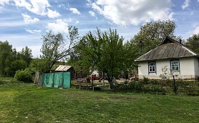 Серіальну хатинку Кайдашів в обухівському селі порівняли з будинком гобітів