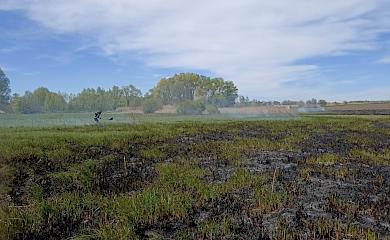 Обухівщина горить: рятувальники підозрюють зумисні підпали