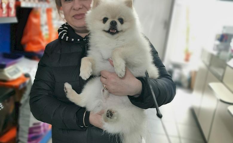 ОЛЕГ БОРОВИЙ, спадковий ветеринар: стерилізація – найгуманніший спосіб контролю популяції безхатніх тварин