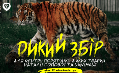 Київщина: зоозахисники оголосили збір на будівництво "Центру порятунку диких тварин"