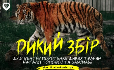 Київщина: зоозахисники оголосили збір на будівництво "Центру порятунку диких тварин"