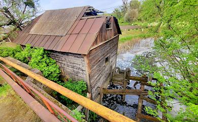 Останній дерев'яний млин Київщини знаходиться біля Обухова: що з ним не так