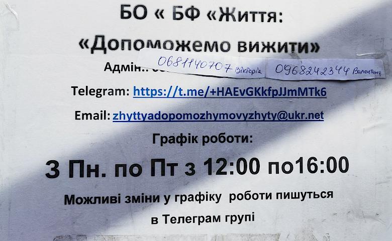 БО БФ «Життя: Допоможемо вижити»: як звичайна багатодітна мати присвятила себе допомозі іншим