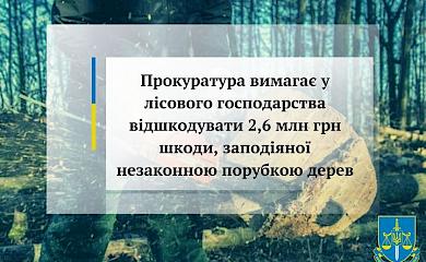 "Браконьєри в законі": біля Богуслава лісівники нарубали дерев на 2,6 млн. гривень