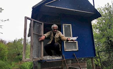 Любов і голуби по-обухівськи:  що таке пристрасть довжиною у півстоліття?