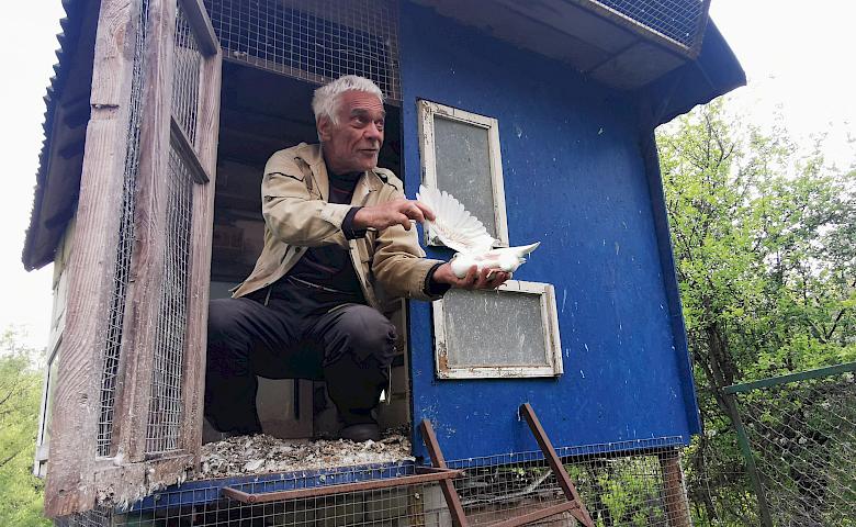 Любов і голуби по-обухівськи:  що таке пристрасть довжиною у півстоліття?