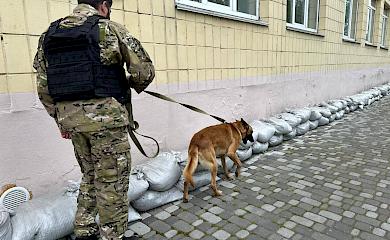 В Обухові "мінували" школи: що відомо