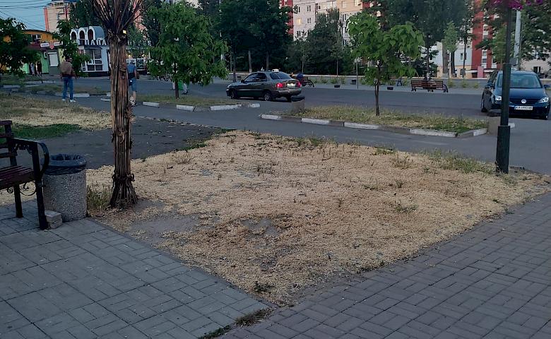 Косіння трави перетворює центр Обухова на пустелю: мешканці нарікають на недолугих комунальників