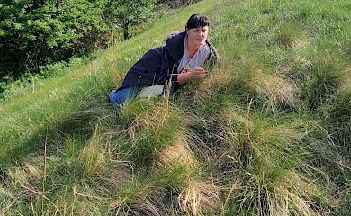 Киевский облсовет принял решение о создании 8 новых заповедных объектов: из них 5 в Обуховском районе