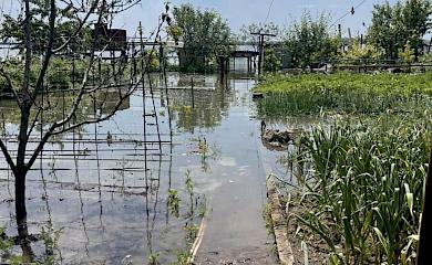 Обильные дожди не повредят овощам, если придерживаться простых правил