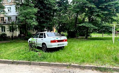 Допомагала сусідці припаркуватись, але потрапила під колеса: деталі ДТП у Білій Церкві