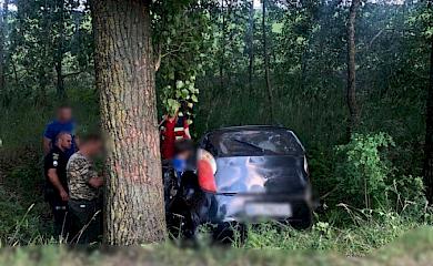 В Броварском районе женщина въехала в дерево и погибла, пострадали четверо детей