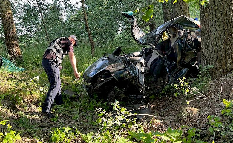 В Броварском районе женщина въехала в дерево и погибла, пострадали четверо детей