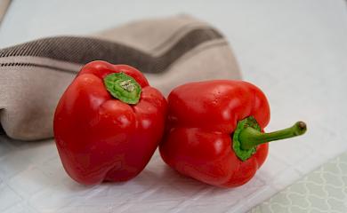 Подкормка перца в июне, или как вырастить большой и вкусный урожай