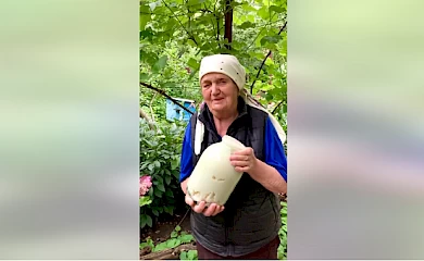 Ентузіасти розповіли про пасічницю зі Ржищева, котра виробляє унікальний мед