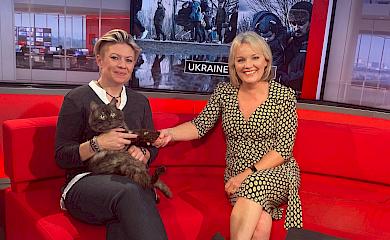 Американская журналистка приютила кота-инвалида из Обухова: как это произошло