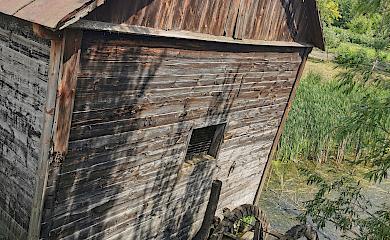 Водяний млин в селі біля Обухова - останній живий в Київському регіоні (відео)