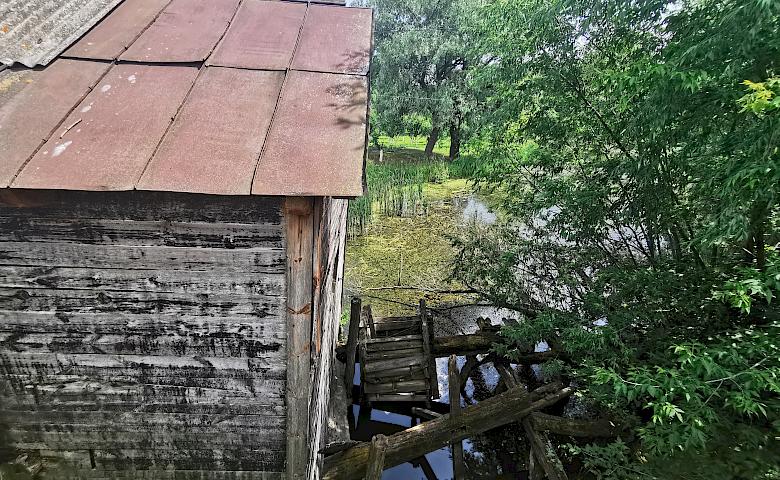 Водяний млин в селі біля Обухова - останній живий в Київському регіоні (відео)