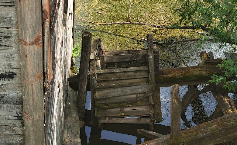Водяний млин в селі біля Обухова - останній живий в Київському регіоні (відео)