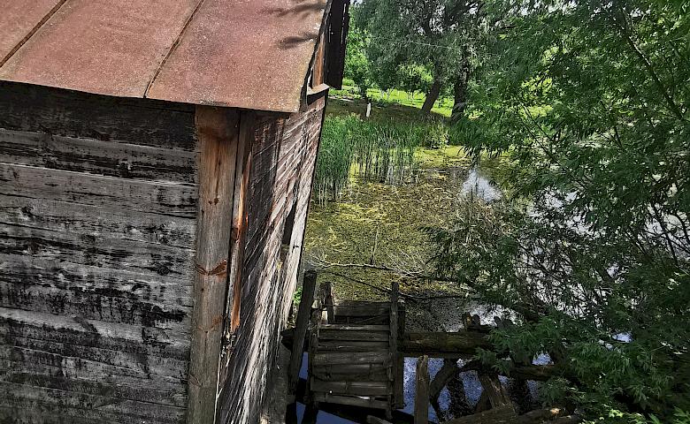 Водяний млин в селі біля Обухова - останній живий в Київському регіоні (відео)