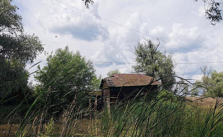 Водяний млин в селі біля Обухова - останній живий в Київському регіоні (відео)