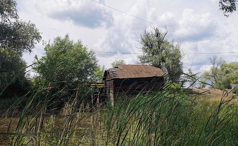 Водяний млин в селі біля Обухова - останній живий в Київському регіоні (відео)