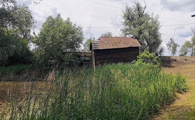 Водяний млин в селі біля Обухова - останній живий в Київському регіоні (відео)