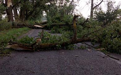 Почти мистическая Обуховщина: в ночь на Купала ветер валил деревья и рвал высоковольтные линии