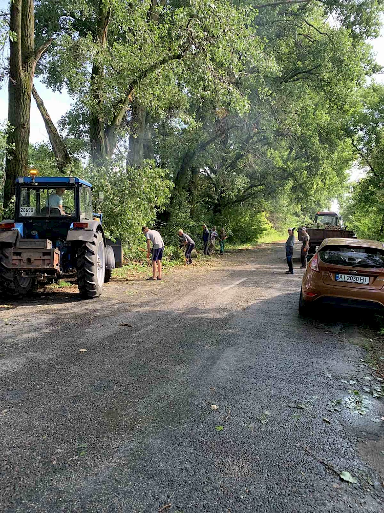 Почти мистическая Обуховщина: в ночь на Купала ветер валил деревья и рвал высоковольтные линии