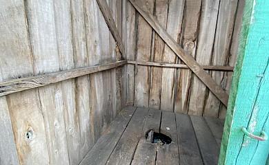 В Украинской общине показали как эффективно избавляются от проявлений "русского мира"