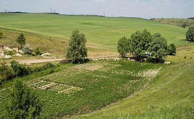 У трипільскому музеї розповіли легенду про походження Щербанівки