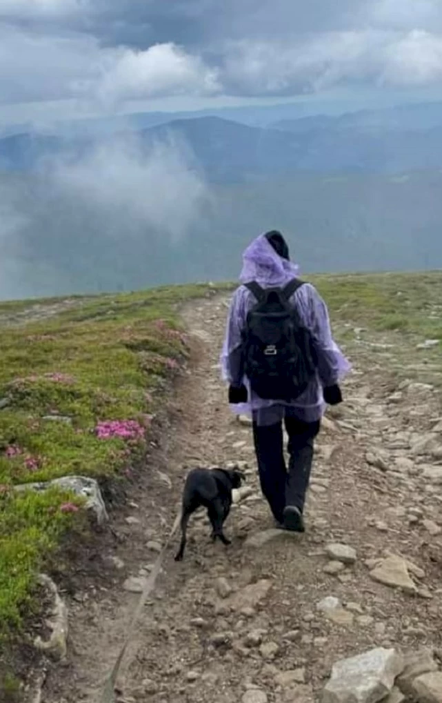 Семья из Норвегии приехала в Обухов забрать из приюта собачку, которая им понравилась на видео