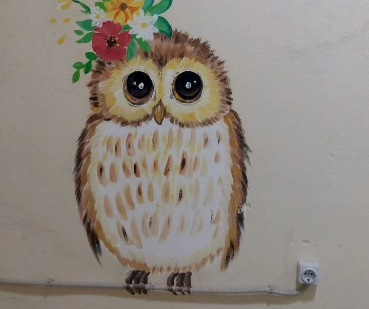 В укрытии гимназии на Обуховщине поселились котики и совы