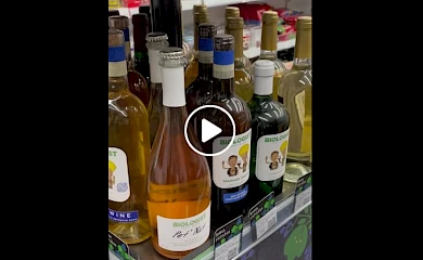 Вино из Обуховщины теперь можно приобрести в сети автозаправок: где и какое