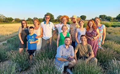 На Обухівщині відбулися "лавандові жнива"