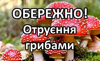 В Обуховском районе фиксируются отравления дикорастущими грибами