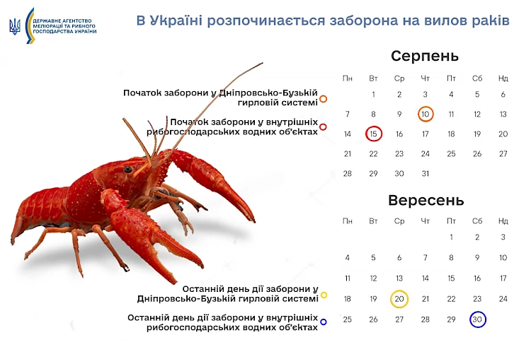 В Обуховском районе начинается запрет на вылов раков: нарушителей будут штрафовать и судить