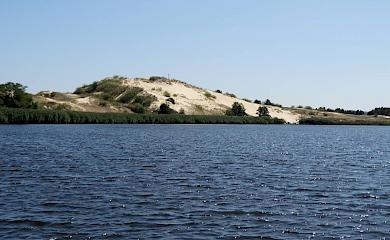 Де і як можна відпочити у Ржищеві: вода і гори
