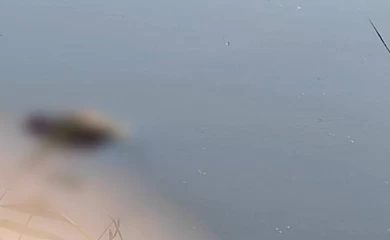 На Обуховщине мужчина пошел на купаться и не вернулся домой