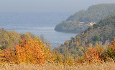 Прокуратура требует вернуть Ржищеву земли ландшафтного парка "Трахтемиров"