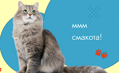 Якісне харчування домашнього улюбленця &ndash; запорука його здоров&rsquo;я