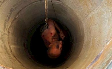 На Обуховщине мужчина упал в колодец: его вытащили с помощью специальной технологии