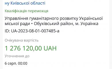 Українська міська рада боїться блискавки: оцінила свій страх в 1,2 мільйони гривень