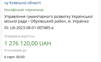 Українська міська рада боїться блискавки: оцінила свій страх в 1,2 мільйони гривень