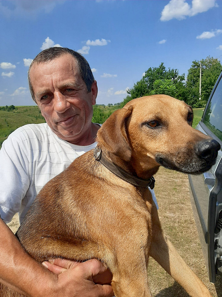 Песик із затопленої Херсонщини потрапив в обухівську родину: і не лише він