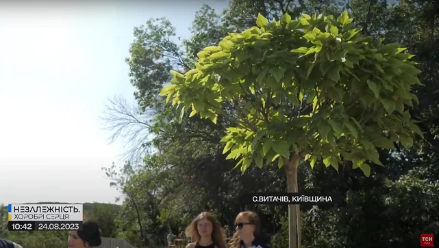 Батьки загиблої у Чернігові 6-річної дівчинки посадили на її честь дерево на Обухівщині