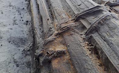 В Вышгородском районе археологи обнаружили уникальную находку (фото)