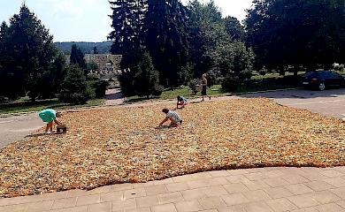 В Ржищеве волонтеры сплели огромную маскировочную сетку: возможно, рекордную