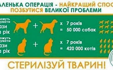 11 вересня в Обухові відбудеться пільгова стерилізація домашніх тварин