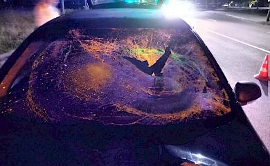 На Бучанщине в результате ДТП пешеход попал в больницу
